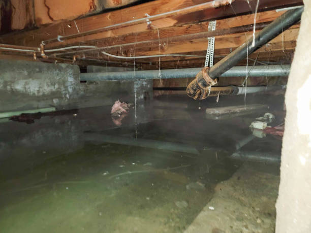 Best Water damage restoration near me  in Arcadia, LA