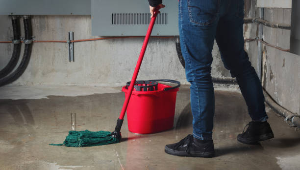 Best Residential water damage restoration  in Arcadia, LA