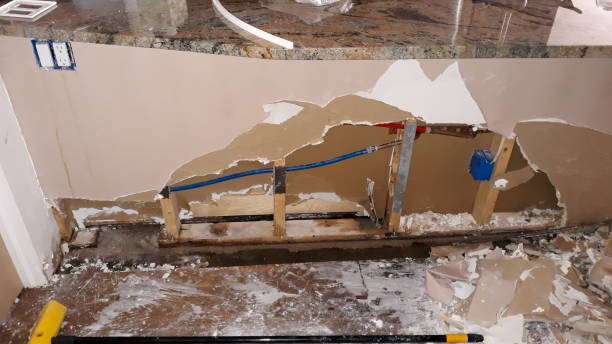 Best Mold removal after water damage  in Arcadia, LA