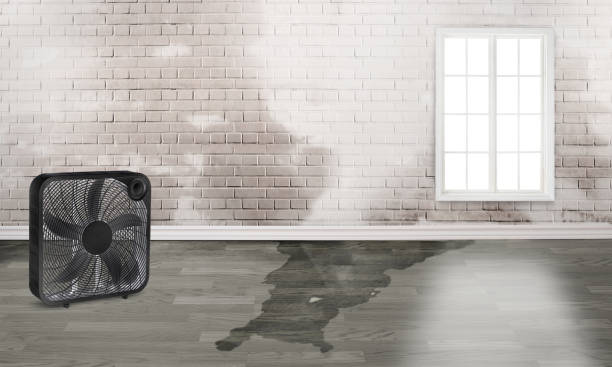 Best 24/7 water damage repair  in Arcadia, LA